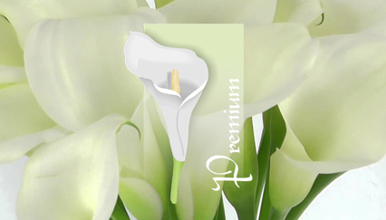 Calla logo, Gifts logo design