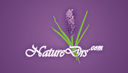 Virtual natural medicine healing center